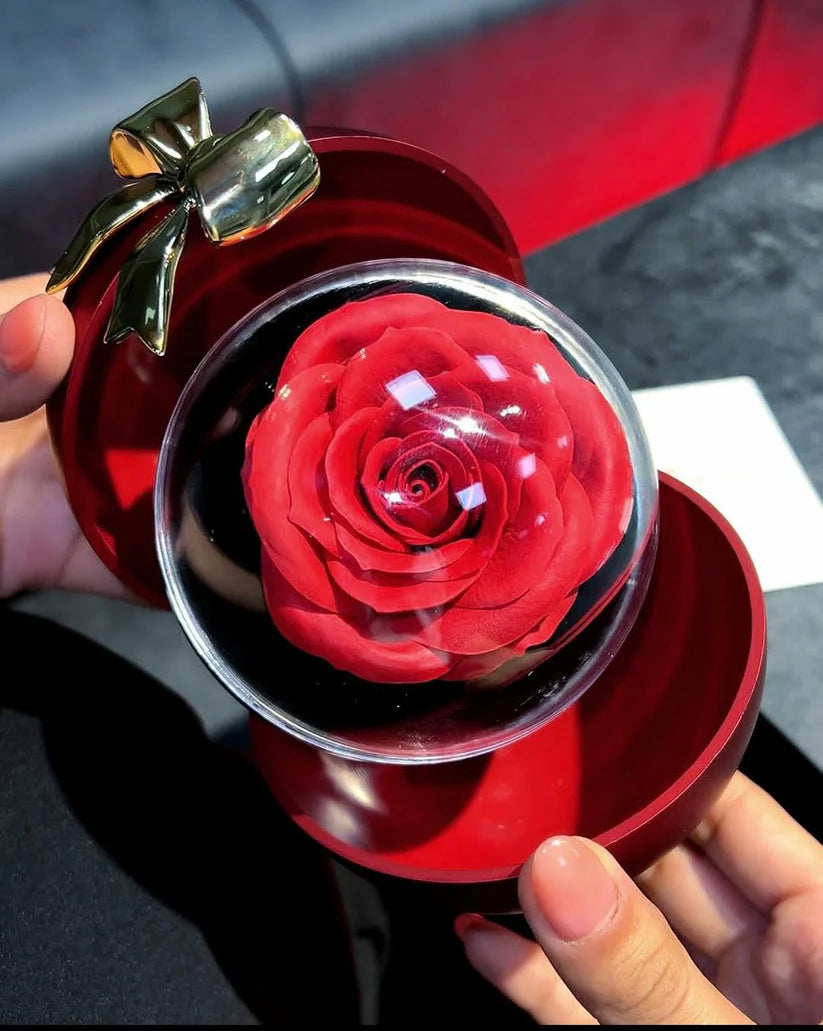 Joyero Rosa Eterna + Anillo de Corazón💖 (Con Bolsa de Regalo)